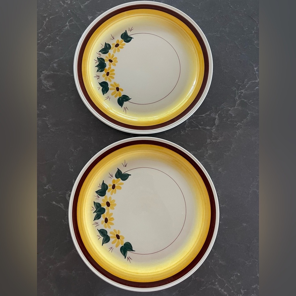 Vernonware Brown Eyed Susan 10.5" Plates (2)